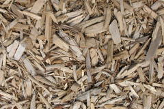 biomass boilers Tremorfa